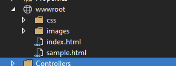 Finding the wwwroot static folder