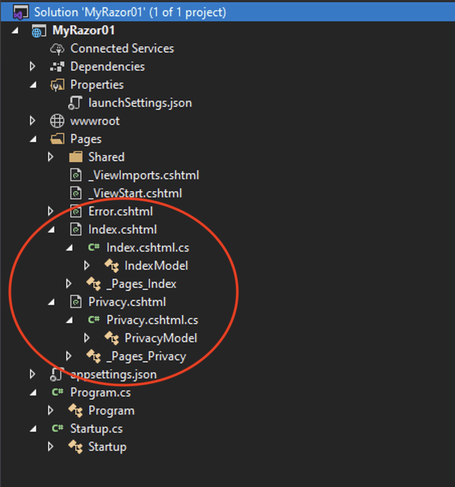 Razor Pages File Structure Expanded